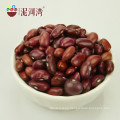 Competitive prices of Small Red Kidney Beans